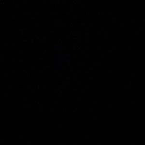 Meet your Posher, Daniela